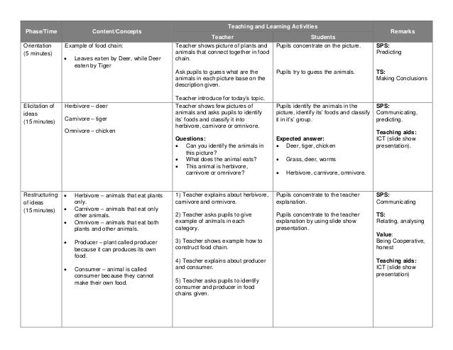 27264789 year 5 food chain lesson plan