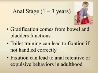 Anal Stage (1 – 3 years)
• Gratification comes from bowel and
bladders functions.
• Toilet training can lead to fixation if
not handled correctly
• Fixation can lead to anal retentive or
expulsive behaviors in adulthood
 