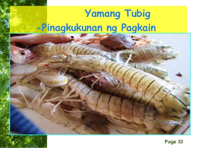 pinagkukunan ng yaman