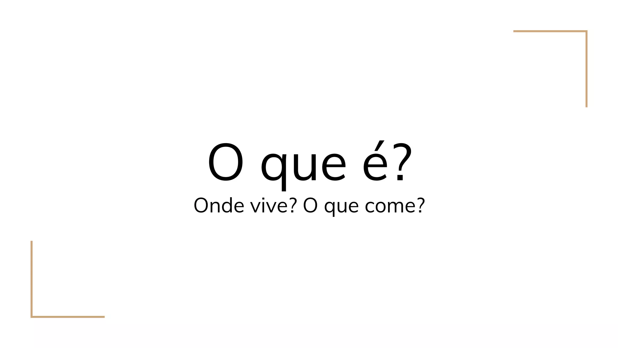 O que é?
Onde vive? O que come?
 