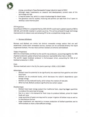 (3). PTEUSA-Business-Plan