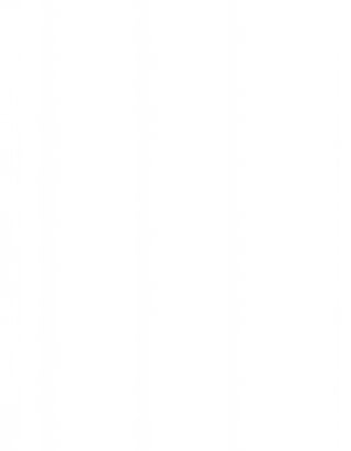 (3). PTEUSA-Business-Plan