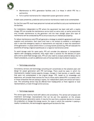 (3). PTEUSA-Business-Plan