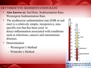 blood physiology blood grouping blood transfusion | PPT