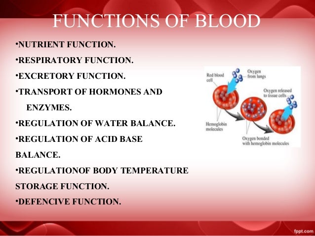 blood physiology blood grouping blood transfusion