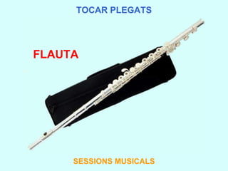 TOCAR PLEGATS SESSIONS MUSICALS FLAUTA 