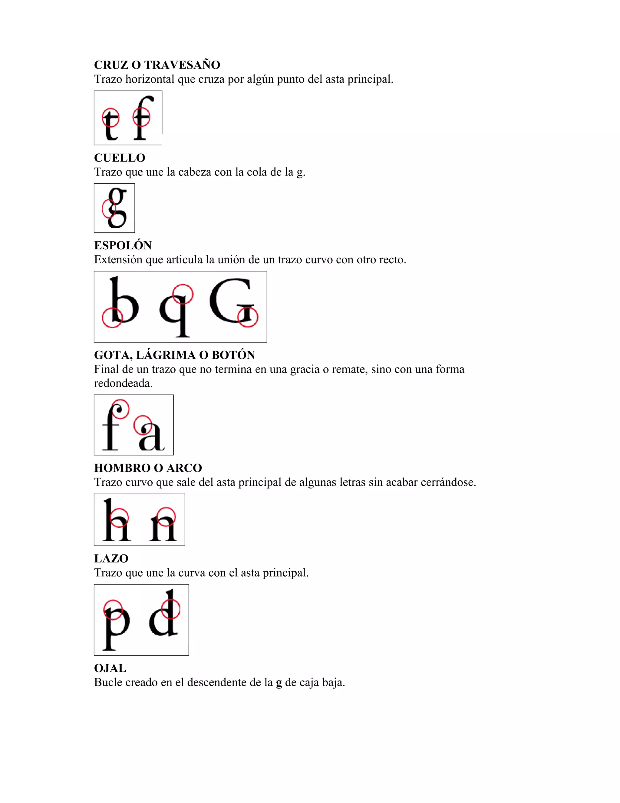 Anatomía de la letra | DOC