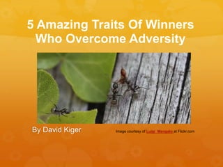 5 Amazing Traits Of Winners
Who Overcome Adversity
By David Kiger Image courtesy of Luigi Mengato at Flickr.com
 