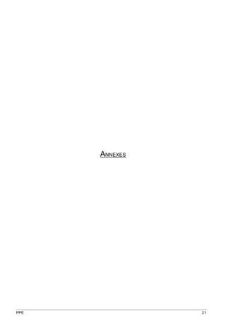 ANNEXES




PPE             21
 