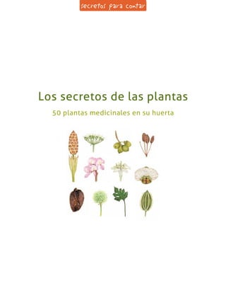 Los secretos de las plantas
50 plantas medicinales en su huerta
 