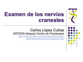 Examen de los nervios craneales Carlos López Cubas OSTEON Alaquàs Centro de Fisioterapia http://sites.google.com/site/osteonfisioterapia http://osteonfisioterapia.blogspot.com 