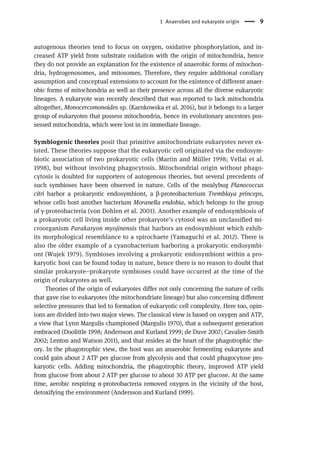 Mitochondria And Anaerobic Energy Metabolism In Eukaryotes Biochemistry ...