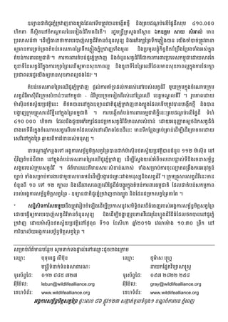 ឧទយនជតិជួរភនំ្រក ញខងតបូងែដលេទើប្រតូវបនបេងកើតថមី និង្រគបដណ្ត ប់េលើៃផទដីសរុប ៤១០.០០០
ហិក គឺសថិតេនចំក ្ត លៃនរេបៀងដំរីភគនិរតី។ រដ្ឋម្រន្តី្រកសួងបរិ ថ ន ឯកឧត្តម យ សំ ល់ មន
្រប សន៍ថ “េដើមបីធនថករបរបញ់សត្វដំរីមនចំនួនសូនយ និងអភិរក ៃ្រពទឹកេភ្ល ងបន េយើងចំបច់្រតូវធន
ឲយមនករ្រគប់្រគងតំបន់េទសភពៃ្រពទឹកេភ្ល ងភនំ្រក ញទំងមូល និង្របមូលផ្តុំកិចចខិតខំ្របឹងែ្របងទំងអស់កនុង
តំបន់ករពរធមមជតិ”។ ករករពរតំបន់ជួរភនំ្រក ញ និងចំនួនសត្វដំរីគឺជករករពរ្របេទសកមពុជេ យ រែត
តួនទីៃនសត្វដំរីកនុងកររក ៃ្រពេឈើឲយមនសុខភពល្អ និងតួនទីៃនៃ្រពេឈើែដលមនសុខភពល្អកនុងករែថរក
្របជពលរដ្ឋេយើងឲយមនសុខភពល្អផងែដរ” ។
តំបន់េទសភពៃ្រពេឈើជួរភនំ្រក ញ ផ្ដល់ករគំ្រទដល់កររស់េនរបស់សត្វដំរី មួយ្រកុមកនុងចំេ ម្រកុម
សត្វដំរី សុីពីរ្រកុមសំខន់ៗេនកមពុជ - ដំរីមួយ្រកុមេទៀតគឺរស់េនៃ្រពេឈើ េខត្តមណ្ឌ លគីរី ។ រូបភពេ យ
ម៉ សុីនថតស្វ័យ្របវត្តិេនះ គឺថតបនេនកនុងឧទយនជតិជួរភនំ្រក ញខងតបូងែដលេទើប្រតូវបនបេងកើតថមី និងបន
បង្ហ ញ្រកុម្រគួ រដំរីថមីេនកនុងៃ្រពធមមជតិ ។ ករបេងកើតតំបន់ករពរធមមជតិថមីេនះ្រគបដណ្ដ ប់េលើៃផទដី ទំហំ
៤១០ ០០០ ហិច ែដលនឹងជួយអភិរក ែដនជ្រមកសត្វដំរីដ៏មន រសំខន់ េ យអនុញញ តឲយថនិកសត្វដ៏ធំ
ជងេគទីពីរកនុងចំេ មសត្វេលើេគកែដលរស់េនេលើភពែផនដីេនះ មនទីកែន្លង្រគប់្រគន់េដើមបីេដើរ្រ ចចរេ យ
េសរីេនកនុងៃ្រព ឆង យពីកររំខនរស់មនុស ។
នប ្ដ ឆន ំកន្លងេទ អងគករសមព័នធមិត្តសត្វៃ្រពបន ក់ម៉ សុីនថតស្វ័យ្របវត្តិបនចំនួន ១១២ ម៉ សុីន េន
ជុំវិញតំបន់ជីផត េនកនុងតំបន់េទសភពៃ្រពេឈើជួរភនំ្រក ញ េដើមបីែស្វងយល់អំពីចលនបន្ល ស់ទីនិងរចនសមព័នធ
សងគមរបស់្រកុមសត្វដំរី ។ ព័ត៌មនេនះគឺមន រៈសំខន់ ស់ ទំងស្រមប់ករចុះលបតព្រងឹងករអនុវត្តន៍
ចបប់ ទំងស្រមប់ករងរជមួយសហគមន៍េដើមបីបងក រជេម្ល ះរ ងមនុស និងសត្វដំរី ។ ្រកុម្រគួ រសត្វដំរីេនះមន
ចំនួនពី ១០ េទ ១២ កបល និងេដើរពសេពញេលើៃផទដីធំបងគួរកនុងតំបន់ករពរធមមជតិ ែដលជតំបន់សកមមភព
របស់អងគករសមព័នធមិត្តសត្វៃ្រព - ឧទយនជតិជួរភនំ្រក ញខងតបូង និងែដនជ្រមកសត្វៃ្រព ៃត ។
* សននិសិទកែសតមួយនឹង្រតូវេរៀបចំេឡើងេដើមបី្របកសនូវសមិទធិផលដ៏ធំេធញរបស់អងគករសមព័នធមិត្តសត្វៃ្រព
េ យេធ្វើឲយករបរបញ់សត្វដំរីមនចំនួនសូនយ និងេដើមបីបង្ហញ ញរូបភពវីេដអូៃនហ្វូងដំរីដ៏ធំែដលថតបនេនជួរភនំ
្រក ញ េ យម៉ សុីនថតស្វ័យ្របវត្តិេនៃថងពុធ ទី១០ ែខសី ឆន ំ២០១៦ េវ េម៉ ង ១០:៣០ ្រពឹក េន
ករិយល័យអងគករសមព័នធមិត្តសត្វៃ្រព ។
ស្រមប់ព័ត៌មនបែនថម សូមទក់ទងផទ ល់េទេឈម ះដូចខងេ្រកម
េឈម ះ បុទុមរដ្ឋ លីប៊ុន
ម្រន្តីទំនក់ទំនង ធរណៈ
ទូរស័ពទៃដៈ ០១២ ៨៨៥ ៧២៧
អុីែម៉ល: lebun@wildlifealliance.org
េគហទំព័រៈ www.wildlifealliance.org
េឈម ះ ថូម៉ ស េ្រហគ
នយកែផនកវិទយ ្រស្ដ
ទូរស័ពទៃដៈ ០៩៧ ២៨២២ ២៥៨
អុីែម៉ល: gray@wildlifealliance.org
េគហទំព័រៈ www.wildlifealliance.org
អងគករសមព័នធមិត្តសត្វៃ្រព ផទះេលខ ៨៦ ផ្លូវ១២៣ សងក ត់ទួលទំពូង១ ខណ្ឌ ចំករមន ភនំេពញ
 