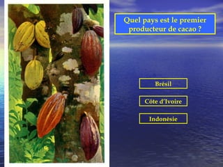 Quel pays est le premier
 producteur de cacao ?




         Brésil

      Côte d’Ivoire

       Indonésie
 