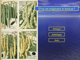 D’où est originaire le haricot ?




            Afrique

           Amérique

              Asie
 