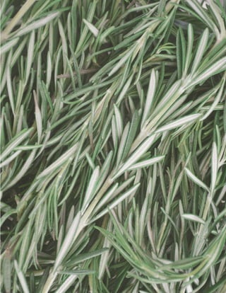 Magazine Draft v11 (not final)