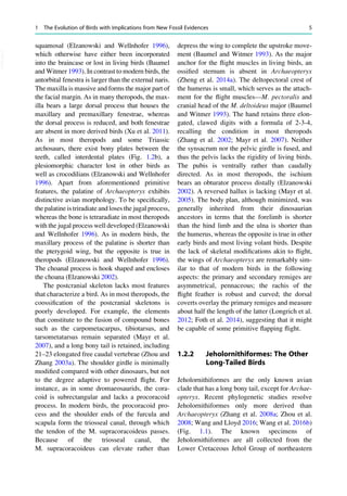 The Biology Of The Avian Respiratory System Evolution Development ...
