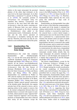 The Biology Of The Avian Respiratory System Evolution Development ...