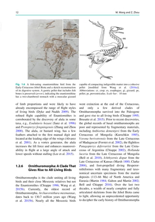 The Biology Of The Avian Respiratory System Evolution Development ...