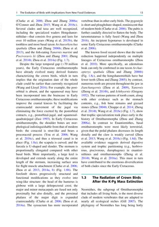 The Biology Of The Avian Respiratory System Evolution Development ...