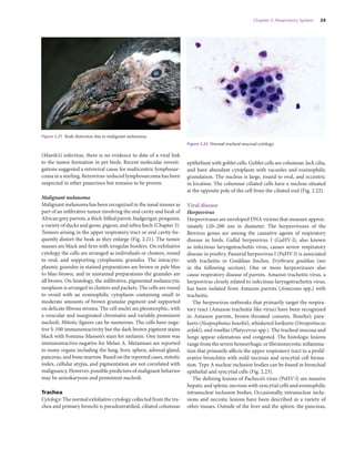 Pathology Of Pet And Aviary Birds 2nd Edition Schmidt Robert E | PDF