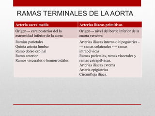 RAMAS TERMINALES DE LA AORTA
Arteria sacra media Arterias ilíacas primitivas
Origen--- cara posterior del la
extremidad inferior de la aorta
Origen--- nivel del borde inferior de la
cuarta vertebra
Ramios parietales
Quinta arteria lumbar
Ramo dorso espinal
Ramo anterior
Ramos viscerales o hemorroidales
Arterias ilíacas interna o hipogástrica -
--- ramas colaterales ---- ramas
intrapélvicas
Ramas parietales, ramas viscerales y
ramas extrapélvicas.
Arterias ilíacas externa
Arteria epigástrica
Circunfleja íliaca.
 