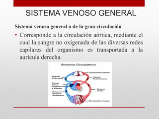 SISTEMA VENOSO GENERAL
Sistema venoso general o de la gran circulación
• Corresponde a la circulación aórtica, mediante el
cual la sangre no oxigenada de las diversas redes
capilares del organismo es transportada a la
aurícula derecha.
 