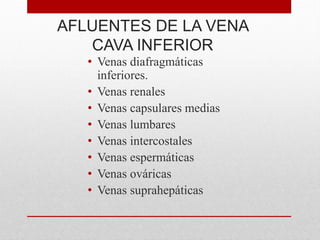 AFLUENTES DE LA VENA
CAVA INFERIOR
• Venas diafragmáticas
inferiores.
• Venas renales
• Venas capsulares medias
• Venas lumbares
• Venas intercostales
• Venas espermáticas
• Venas ováricas
• Venas suprahepáticas
 