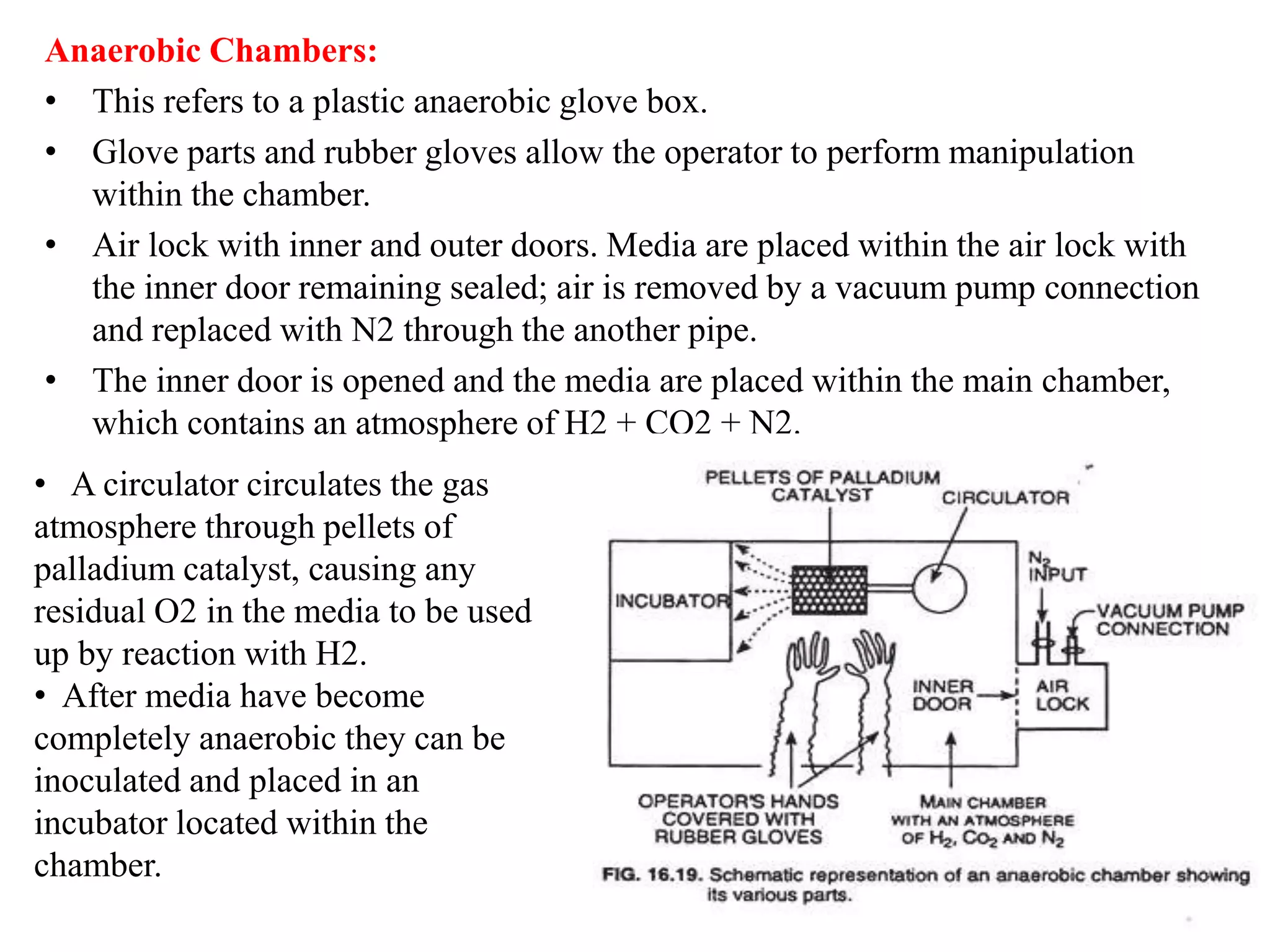 Cultivation of anaerobic bacteria. | PPT