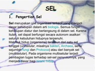 27499244 1-pengertian-sel | PPT