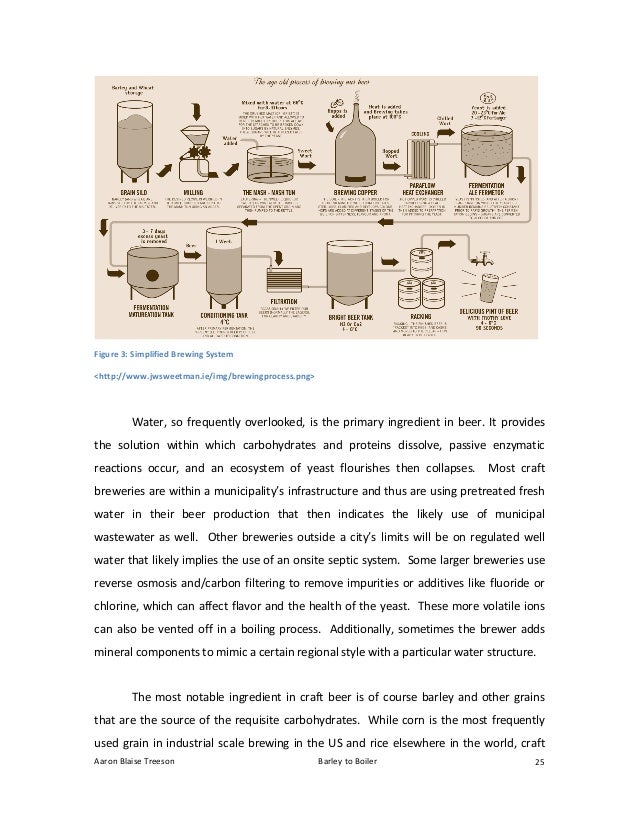 Boiler thesis