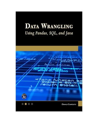 Data Wrangling Using Pandas Sql And Java Oswald Campesato | PDF