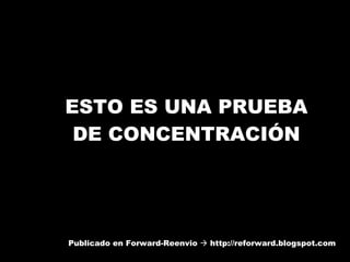 ESTO ES UNA PRUEBA DE CONCENTRACIÓN Publicado en Forward-Reenvio    http://reforward.blogspot.com 