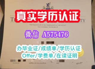 一比一原版(毕业证书)意大利罗马大学毕业证学位证可查学历认证