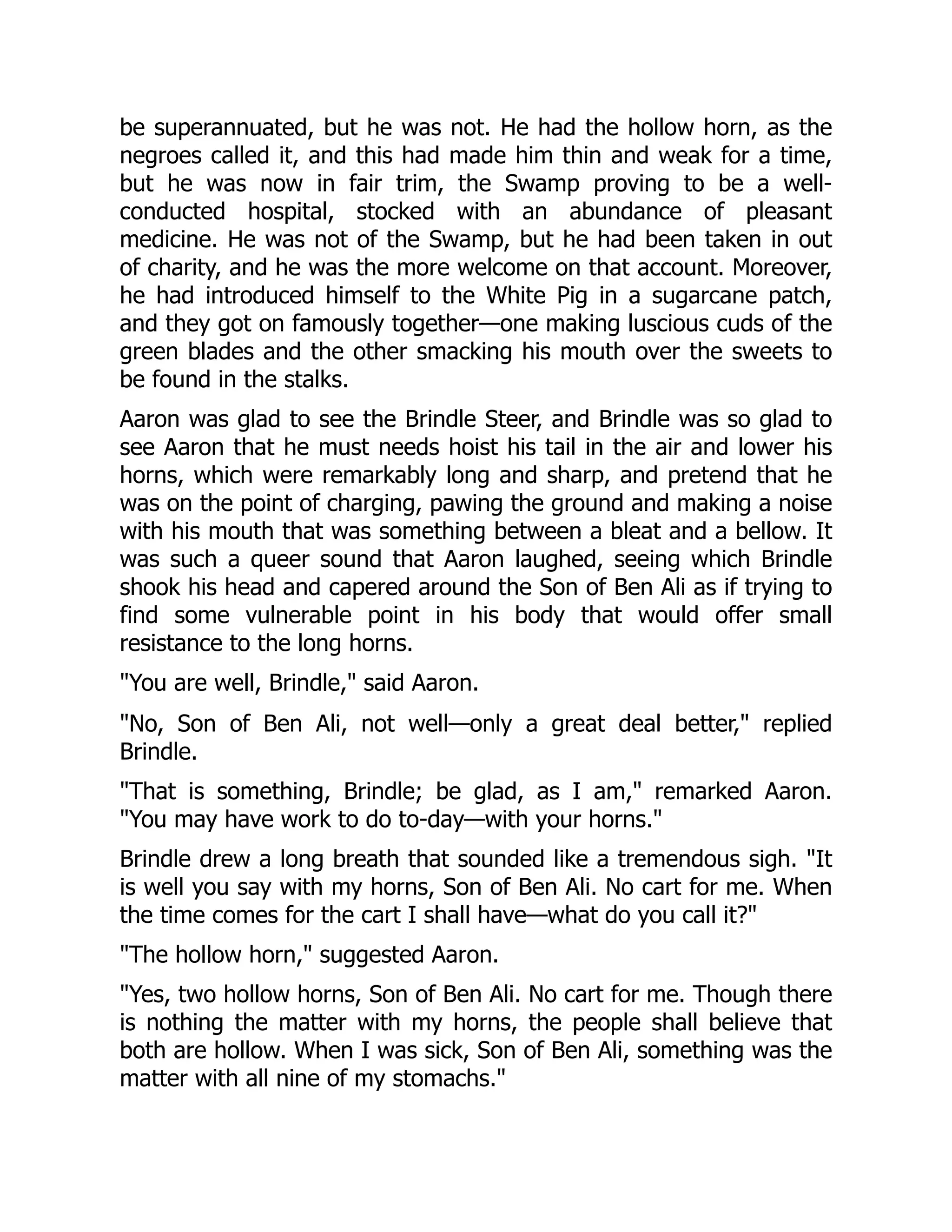 be superannuated, but he was not. He had the hollow horn, as the negroes called it, and this had made him thin and weak for a time, but he was now in fair trim, the Swamp proving to be a well- conducted hospital, stocked with an abundance of pleasant medicine. He was not of the Swamp, but he had been taken in out of charity, and he was the more welcome on that account. Moreover, he had introduced himself to the White Pig in a sugarcane patch, and they got on famously together—one making luscious cuds of the green blades and the other smacking his mouth over the sweets to be found in the stalks. Aaron was glad to see the Brindle Steer, and Brindle was so glad to see Aaron that he must needs hoist his tail in the air and lower his horns, which were remarkably long and sharp, and pretend that he was on the point of charging, pawing the ground and making a noise with his mouth that was something between a bleat and a bellow. It was such a queer sound that Aaron laughed, seeing which Brindle shook his head and capered around the Son of Ben Ali as if trying to find some vulnerable point in his body that would offer small resistance to the long horns. "You are well, Brindle," said Aaron. "No, Son of Ben Ali, not well—only a great deal better," replied Brindle. "That is something, Brindle; be glad, as I am," remarked Aaron. "You may have work to do to-day—with your horns." Brindle drew a long breath that sounded like a tremendous sigh. "It is well you say with my horns, Son of Ben Ali. No cart for me. When the time comes for the cart I shall have—what do you call it?" "The hollow horn," suggested Aaron. "Yes, two hollow horns, Son of Ben Ali. No cart for me. Though there is nothing the matter with my horns, the people shall believe that both are hollow. When I was sick, Son of Ben Ali, something was the matter with all nine of my stomachs." 