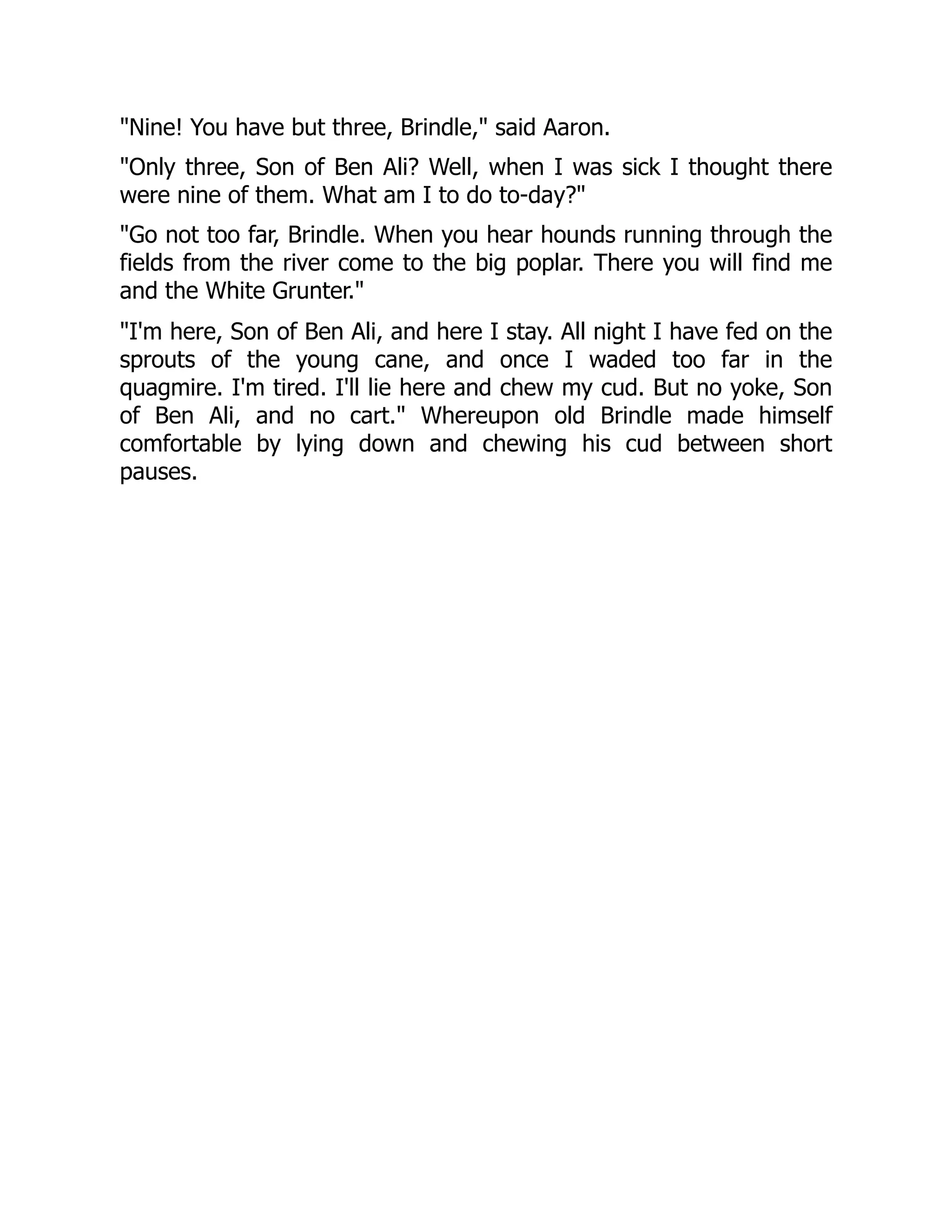 "Nine! You have but three, Brindle," said Aaron. "Only three, Son of Ben Ali? Well, when I was sick I thought there were nine of them. What am I to do to-day?" "Go not too far, Brindle. When you hear hounds running through the fields from the river come to the big poplar. There you will find me and the White Grunter." "I'm here, Son of Ben Ali, and here I stay. All night I have fed on the sprouts of the young cane, and once I waded too far in the quagmire. I'm tired. I'll lie here and chew my cud. But no yoke, Son of Ben Ali, and no cart." Whereupon old Brindle made himself comfortable by lying down and chewing his cud between short pauses. 
