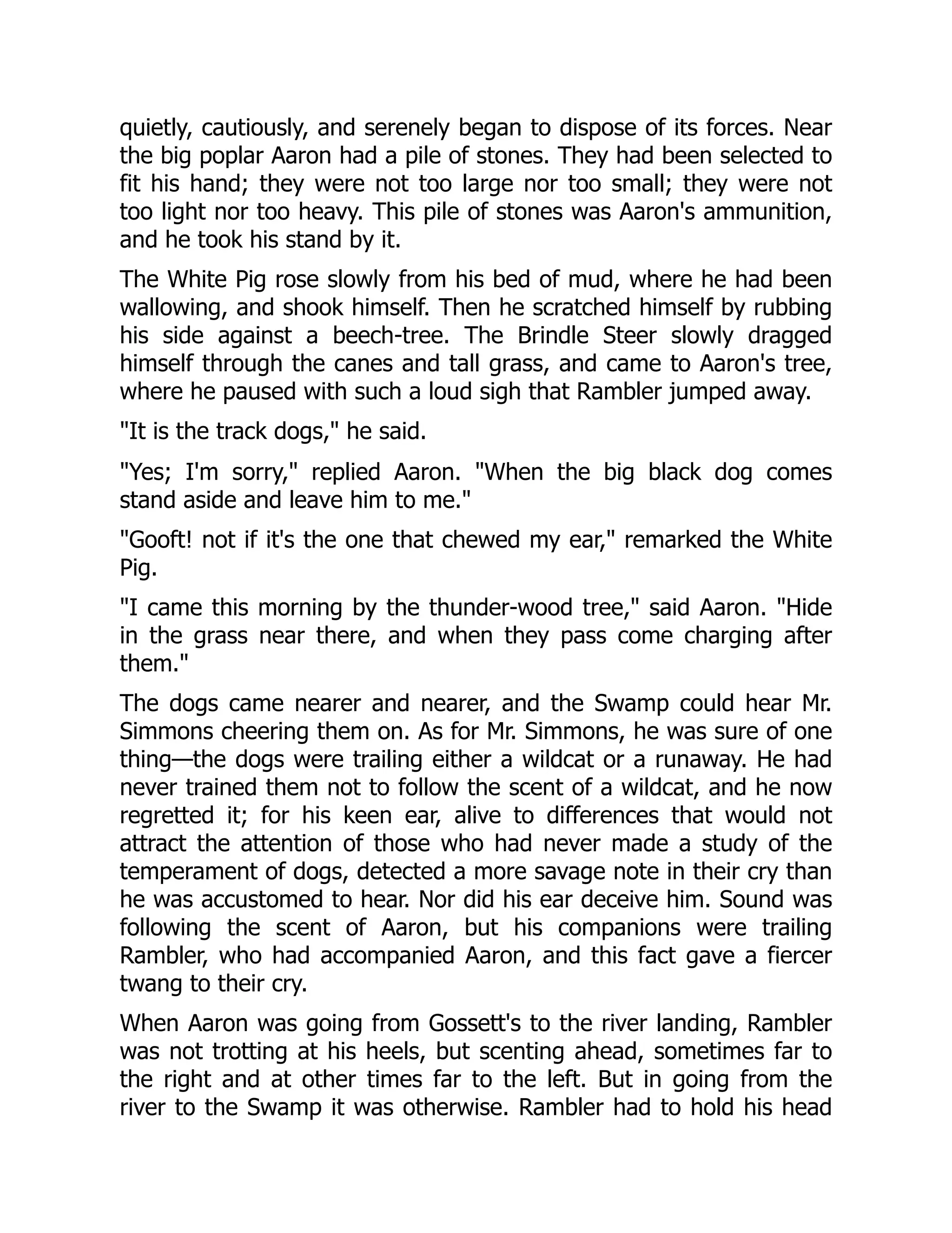 quietly, cautiously, and serenely began to dispose of its forces. Near the big poplar Aaron had a pile of stones. They had been selected to fit his hand; they were not too large nor too small; they were not too light nor too heavy. This pile of stones was Aaron's ammunition, and he took his stand by it. The White Pig rose slowly from his bed of mud, where he had been wallowing, and shook himself. Then he scratched himself by rubbing his side against a beech-tree. The Brindle Steer slowly dragged himself through the canes and tall grass, and came to Aaron's tree, where he paused with such a loud sigh that Rambler jumped away. "It is the track dogs," he said. "Yes; I'm sorry," replied Aaron. "When the big black dog comes stand aside and leave him to me." "Gooft! not if it's the one that chewed my ear," remarked the White Pig. "I came this morning by the thunder-wood tree," said Aaron. "Hide in the grass near there, and when they pass come charging after them." The dogs came nearer and nearer, and the Swamp could hear Mr. Simmons cheering them on. As for Mr. Simmons, he was sure of one thing—the dogs were trailing either a wildcat or a runaway. He had never trained them not to follow the scent of a wildcat, and he now regretted it; for his keen ear, alive to differences that would not attract the attention of those who had never made a study of the temperament of dogs, detected a more savage note in their cry than he was accustomed to hear. Nor did his ear deceive him. Sound was following the scent of Aaron, but his companions were trailing Rambler, who had accompanied Aaron, and this fact gave a fiercer twang to their cry. When Aaron was going from Gossett's to the river landing, Rambler was not trotting at his heels, but scenting ahead, sometimes far to the right and at other times far to the left. But in going from the river to the Swamp it was otherwise. Rambler had to hold his head 