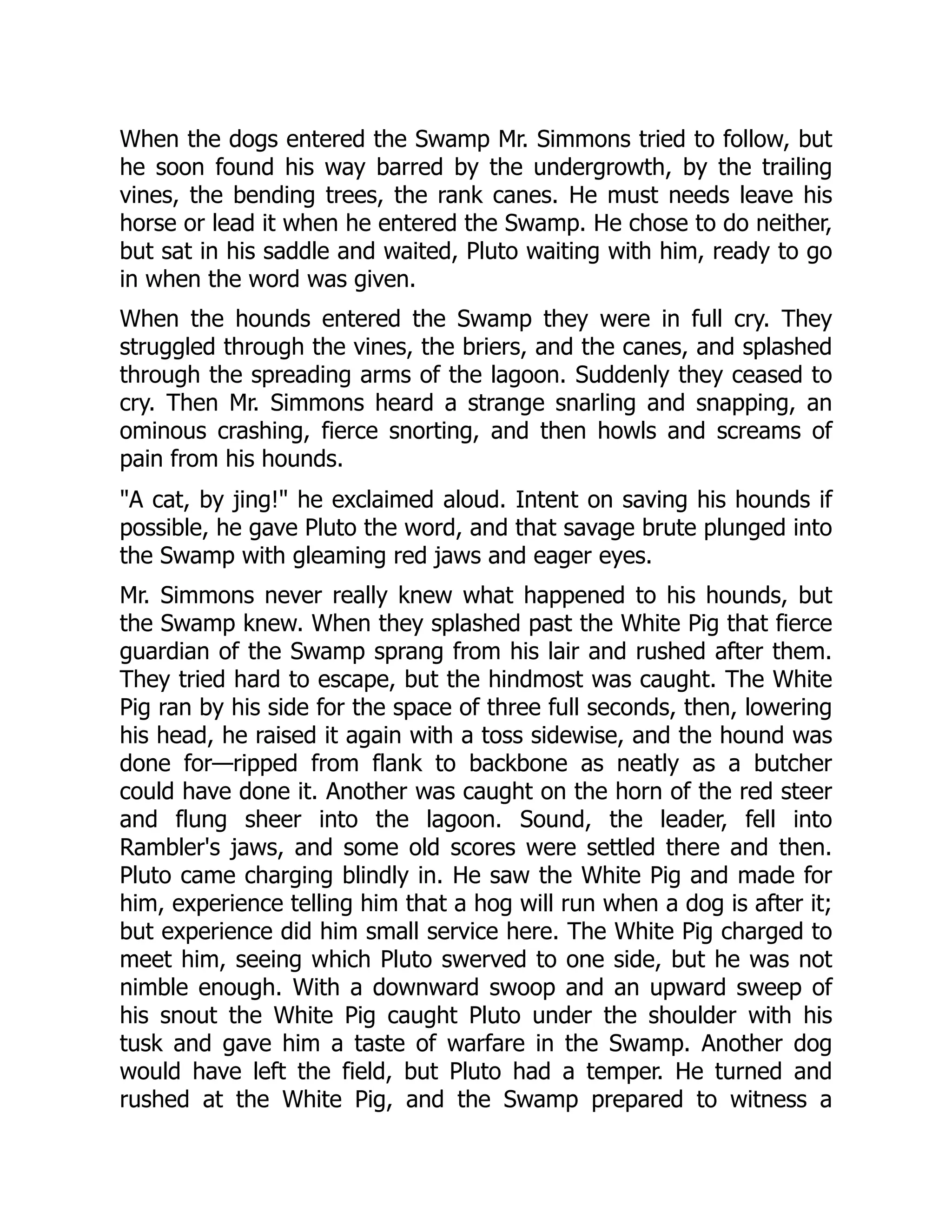 When the dogs entered the Swamp Mr. Simmons tried to follow, but he soon found his way barred by the undergrowth, by the trailing vines, the bending trees, the rank canes. He must needs leave his horse or lead it when he entered the Swamp. He chose to do neither, but sat in his saddle and waited, Pluto waiting with him, ready to go in when the word was given. When the hounds entered the Swamp they were in full cry. They struggled through the vines, the briers, and the canes, and splashed through the spreading arms of the lagoon. Suddenly they ceased to cry. Then Mr. Simmons heard a strange snarling and snapping, an ominous crashing, fierce snorting, and then howls and screams of pain from his hounds. "A cat, by jing!" he exclaimed aloud. Intent on saving his hounds if possible, he gave Pluto the word, and that savage brute plunged into the Swamp with gleaming red jaws and eager eyes. Mr. Simmons never really knew what happened to his hounds, but the Swamp knew. When they splashed past the White Pig that fierce guardian of the Swamp sprang from his lair and rushed after them. They tried hard to escape, but the hindmost was caught. The White Pig ran by his side for the space of three full seconds, then, lowering his head, he raised it again with a toss sidewise, and the hound was done for—ripped from flank to backbone as neatly as a butcher could have done it. Another was caught on the horn of the red steer and flung sheer into the lagoon. Sound, the leader, fell into Rambler's jaws, and some old scores were settled there and then. Pluto came charging blindly in. He saw the White Pig and made for him, experience telling him that a hog will run when a dog is after it; but experience did him small service here. The White Pig charged to meet him, seeing which Pluto swerved to one side, but he was not nimble enough. With a downward swoop and an upward sweep of his snout the White Pig caught Pluto under the shoulder with his tusk and gave him a taste of warfare in the Swamp. Another dog would have left the field, but Pluto had a temper. He turned and rushed at the White Pig, and the Swamp prepared to witness a 