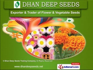 Exporter & Trader of Flower & Vegetable Seeds
 