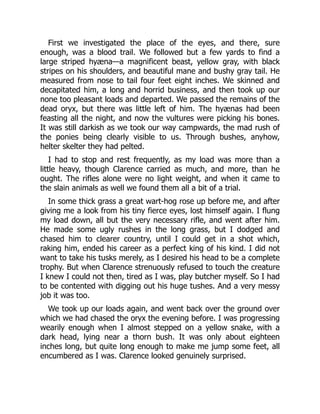 First we investigated the place of the eyes, and there, sure
enough, was a blood trail. We followed but a few yards to find a
large striped hyæna—a magnificent beast, yellow gray, with black
stripes on his shoulders, and beautiful mane and bushy gray tail. He
measured from nose to tail four feet eight inches. We skinned and
decapitated him, a long and horrid business, and then took up our
none too pleasant loads and departed. We passed the remains of the
dead oryx, but there was little left of him. The hyænas had been
feasting all the night, and now the vultures were picking his bones.
It was still darkish as we took our way campwards, the mad rush of
the ponies being clearly visible to us. Through bushes, anyhow,
helter skelter they had pelted.
I had to stop and rest frequently, as my load was more than a
little heavy, though Clarence carried as much, and more, than he
ought. The rifles alone were no light weight, and when it came to
the slain animals as well we found them all a bit of a trial.
In some thick grass a great wart-hog rose up before me, and after
giving me a look from his tiny fierce eyes, lost himself again. I flung
my load down, all but the very necessary rifle, and went after him.
He made some ugly rushes in the long grass, but I dodged and
chased him to clearer country, until I could get in a shot which,
raking him, ended his career as a perfect king of his kind. I did not
want to take his tusks merely, as I desired his head to be a complete
trophy. But when Clarence strenuously refused to touch the creature
I knew I could not then, tired as I was, play butcher myself. So I had
to be contented with digging out his huge tushes. And a very messy
job it was too.
We took up our loads again, and went back over the ground over
which we had chased the oryx the evening before. I was progressing
wearily enough when I almost stepped on a yellow snake, with a
dark head, lying near a thorn bush. It was only about eighteen
inches long, but quite long enough to make me jump some feet, all
encumbered as I was. Clarence looked genuinely surprised.
 