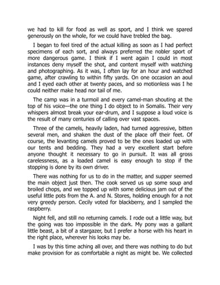 we had to kill for food as well as sport, and I think we spared
generously on the whole, for we could have trebled the bag.
I began to feel tired of the actual killing as soon as I had perfect
specimens of each sort, and always preferred the nobler sport of
more dangerous game. I think if I went again I could in most
instances deny myself the shot, and content myself with watching
and photographing. As it was, I often lay for an hour and watched
game, after crawling to within fifty yards. On one occasion an aoul
and I eyed each other at twenty paces, and so motionless was I he
could neither make head nor tail of me.
The camp was in a turmoil and every camel-man shouting at the
top of his voice—the one thing I do object to in Somalis. Their very
whispers almost break your ear-drum, and I suppose a loud voice is
the result of many centuries of calling over vast spaces.
Three of the camels, heavily laden, had turned aggressive, bitten
several men, and shaken the dust of the place off their feet. Of
course, the levanting camels proved to be the ones loaded up with
our tents and bedding. They had a very excellent start before
anyone thought it necessary to go in pursuit. It was all gross
carelessness, as a loaded camel is easy enough to stop if the
stopping is done by its own driver.
There was nothing for us to do in the matter, and supper seemed
the main object just then. The cook served us up some soup and
broiled chops, and we topped up with some delicious jam out of the
useful little pots from the A. and N. Stores, holding enough for a not
very greedy person. Cecily voted for blackberry, and I sampled the
raspberry.
Night fell, and still no returning camels. I rode out a little way, but
the going was too impossible in the dark. My pony was a gallant
little beast, a bit of a stargazer, but I prefer a horse with his heart in
the right place, wherever his looks may be.
I was by this time aching all over, and there was nothing to do but
make provision for as comfortable a night as might be. We collected
 