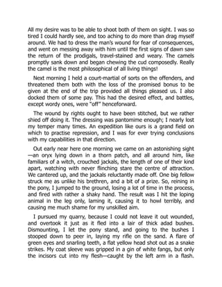 All my desire was to be able to shoot both of them on sight. I was so
tired I could hardly see, and too aching to do more than drag myself
around. We had to dress the man’s wound for fear of consequences,
and went on messing away with him until the first signs of dawn saw
the return of the prodigals, travel-stained and weary. The camels
promptly sank down and began chewing the cud composedly. Really
the camel is the most philosophical of all living things!
Next morning I held a court-martial of sorts on the offenders, and
threatened them both with the loss of the promised bonus to be
given at the end of the trip provided all things pleased us. I also
docked them of some pay. This had the desired effect, and battles,
except wordy ones, were “off” henceforward.
The wound by rights ought to have been stitched, but we rather
shied off doing it. The dressing was pantomime enough; I nearly lost
my temper many times. An expedition like ours is a grand field on
which to practise repression, and I was for ever trying conclusions
with my capabilities in that direction.
Out early near here one morning we came on an astonishing sight
—an oryx lying down in a thorn patch, and all around him, like
familiars of a witch, crouched jackals, the length of one of their kind
apart, watching with never flinching stare the centre of attraction.
We cantered up, and the jackals reluctantly made off. One big fellow
struck me as unlike his brethren, and a bit of a prize. So, reining in
the pony, I jumped to the ground, losing a lot of time in the process,
and fired with rather a shaky hand. The result was I hit the loping
animal in the leg only, laming it, causing it to howl terribly, and
causing me much shame for my unskilled aim.
I pursued my quarry, because I could not leave it out wounded,
and overtook it just as it fled into a lair of thick adad bushes.
Dismounting, I let the pony stand, and going to the bushes I
stooped down to peer in, laying my rifle on the sand. A flare of
green eyes and snarling teeth, a flat yellow head shot out as a snake
strikes. My coat sleeve was gripped in a gin of white fangs, but only
the incisors cut into my flesh—caught by the left arm in a flash.
 