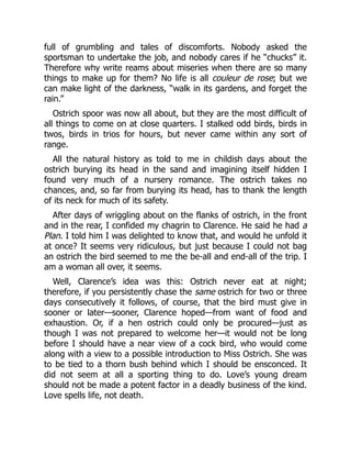 full of grumbling and tales of discomforts. Nobody asked the
sportsman to undertake the job, and nobody cares if he “chucks” it.
Therefore why write reams about miseries when there are so many
things to make up for them? No life is all couleur de rose; but we
can make light of the darkness, “walk in its gardens, and forget the
rain.”
Ostrich spoor was now all about, but they are the most difficult of
all things to come on at close quarters. I stalked odd birds, birds in
twos, birds in trios for hours, but never came within any sort of
range.
All the natural history as told to me in childish days about the
ostrich burying its head in the sand and imagining itself hidden I
found very much of a nursery romance. The ostrich takes no
chances, and, so far from burying its head, has to thank the length
of its neck for much of its safety.
After days of wriggling about on the flanks of ostrich, in the front
and in the rear, I confided my chagrin to Clarence. He said he had a
Plan. I told him I was delighted to know that, and would he unfold it
at once? It seems very ridiculous, but just because I could not bag
an ostrich the bird seemed to me the be-all and end-all of the trip. I
am a woman all over, it seems.
Well, Clarence’s idea was this: Ostrich never eat at night;
therefore, if you persistently chase the same ostrich for two or three
days consecutively it follows, of course, that the bird must give in
sooner or later—sooner, Clarence hoped—from want of food and
exhaustion. Or, if a hen ostrich could only be procured—just as
though I was not prepared to welcome her—it would not be long
before I should have a near view of a cock bird, who would come
along with a view to a possible introduction to Miss Ostrich. She was
to be tied to a thorn bush behind which I should be ensconced. It
did not seem at all a sporting thing to do. Love’s young dream
should not be made a potent factor in a deadly business of the kind.
Love spells life, not death.
 