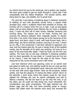 my ostrich found its way to the stock-pot, and a portion was roasted.
We were quite unable to get our teeth through it. Cecily said I had
undoubtedly shot the oldest inhabitant. The stewed ostrich, after
being done to rags, was eatable, but no great treat.
The next day I was taking a breathing space in between moments
of stalking an aoul with peculiarly turned horns, a regular freak
amongst aoul, when I suddenly heard that weirdest of sounds, the
hunting call of a hyæna when the sun is high. I got up and gazed
about, and at some distance there flashed into my vision a disabled
buck, I could not then tell of what variety, haltingly cantering and
lurching along. The hyæna was on his track, running low, but
covering the distance between them magically quickly. In shorter
time than I can write it the hyæna sprang on to the haunches of the
spent buck, and down, down it sank, with head thrown back, into a
pitiful heap, the fierce wolf-like creature worrying it at once. I threw
up my rifle, in the excitement I had been allowed to approach very
near, and the hyæna paid toll. He was a mangy brute of the spotted
variety, but the strength of his teeth was amazing. He hung on to a
piece of the aoul long after death. I kept his head, but the skin was
useless. The buck was an old aoul, evidently in shocking condition
and run down generally. He was dead, or I would have put him out
of his misery. I took the head for the sake of the horns. These
measured on the curves seventeen and a half inches.
Just here Clarence when out spooring, came on an ostrich nest
just about to hatch out, and nothing would do but we must go then
and there to see it. We penetrated some wait-a-bit and then came
on the nest with seven eggs therein. Next we hid ourselves, waited
awhile, and had the pleasure of seeing the father ostrich return to
the domicile. I don’t know where the mother could be. We never
sighted her. Perhaps she was an ostrich suffragette and had to
attend a meeting. We did not want to go too near the nest, or go
too often, but we could not help being very much interested. Our
consideration was quite unnecessary. The eggs hatched out, the
broken eggs told the tale, but some prowling jackal or hungry
hyæna had called when the parents were away and annexed the
 