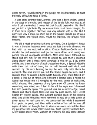 entire seven. Housekeeping in the jungle has its drawbacks. It must
be really difficult to raise a family.
It was quite strange that Clarence, who was a born shikari, versed
in the ways of the wild, and master of the jungle folk, was not at all
what I call a safe shot. I never felt that I could depend on his rifle if
we got into a tight hole. My uncle says times must have changed, for
in their days together Clarence was very reliable with a rifle. But I
don’t see why a man, so often out in the jungle, should go off as a
shot—rather, one would think, would he improve, like grouse, with
keeping.
We did a most amusing stalk one day here. On a Sunday—I know
it was a Sunday, because ever since we lost the only almanac we
had with us we notched a stick, Crusoe fashion—Cecily and I
decided to part company and go our ways alone, and taking our
ponies rode off in opposite directions. After some time I tethered my
steed and left him for the syce to attend to, and then I mooned
along slowly until I must have traversed a mile or so. I lay down
awhile, and then a bunch of aoul crossed my front, a Speke’s Gazelle
with them but not of them, for he held himself well aloof, and
seemed by his very bearing to say he was only with them by
accident. The aoul moved on, but the Speke began to feed, and I
realised then he carried a head worth having, and I must take it an’
I could. I was out of range, and it meant a careful stalk. I hoped he
would not notice me if I wriggled to the next clump of wait-a-bit,
which showed the crassness of my ignorance! Of course, he knew
something was afoot, and I had to lie still for ages ere I deceived
him into passivity again. The ground was like a razor’s edge; small
stones and sharp-edged flints cut into my poor knees, but I crept
nearer by twenty paces. The sunlight danced again on his shining
coat, and all his thoughts were hemmed in now by a little patch of
green grass he had come on. He consumed this while I squirmed
from point to point, and then with a whisk of his tail he was off
again. A brisk run brought him in view once more, and all this time
my presence had never really irked him. Aha! I pretty well had him.
A few paces more when, wonder of wonders, he saw some danger
 