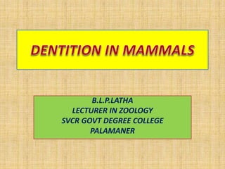 2766DENTATION IN MAMMALS_zoologyPB (2).ppt