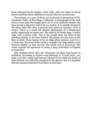 been exhumed by his brother, John Jelly, and were taken to Owen
Sound and from there exhibited at county fairs for several years.
These bones, or a part of them, are at present in possession of Mr.
Alexander Duke, of San Diego, California. A photograph of the tusk
shows it has quite the length given for it. It is relatively slender, the
base having a diameter said to be 9.5 inches. It is spirally twisted in
the distal half. The atlas is present and stated to measure 16 by 9
inches. There is a small but distinct photograph of a hindermost
molar, apparently an upper one. The tooth is 16 inches long, 7 inches
high, and 3 inches wide. This is the length from the front of the
grinding-surface to the base behind. The plates are not worn to the
base in front. There appear to be 22 ridge-plates present, and 6 in a
4–inch line. The base of the tooth is straight; the ridge-plates curve
forward slightly as they ascend. The hyoid arch is preserved. The
writer regards the specimen as being a large individual of Elephas
primigenius.
This elephant lived after the Wisconsin ice-sheet had begun to
withdraw. According to Taylor’s map (Monogr. U. S. Geol. Surv., LIII,
plate XIX), this region had become cleared of ice while the basin of
Lake Ontario was still fully occupied by the glacier; but it is doubtful
that the animal could have lived there at that time.
 
