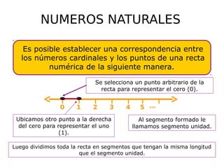 NUMEROS NATURALES (IN)
Es posible establecer una correspondencia entre
los números cardinales y los puntos de una recta
numérica de la siguiente manera.
0 1 2 3 4 5 …
Se selecciona un punto arbitrario de la
recta para representar el cero (0).
Ubicamos otro punto a la derecha
del cero para representar el uno
(1).
Al segmento formado le
llamamos segmento unidad.
Luego dividimos toda la recta en segmentos que tengan la misma longitud
que el segmento unidad.
 
