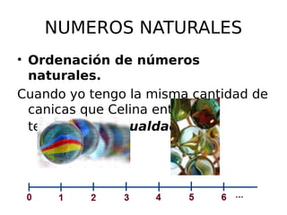 NUMEROS NATURALES
• Ordenación de números
naturales.
Cuando yo tengo la misma cantidad de
canicas que Celina entonces
tenemos una igualdad (=)
 