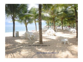 Um verdadeiro paraíso !!! 